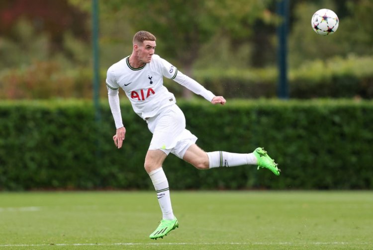 Doable first-team debut for 18-year-old Tottenham participant this season