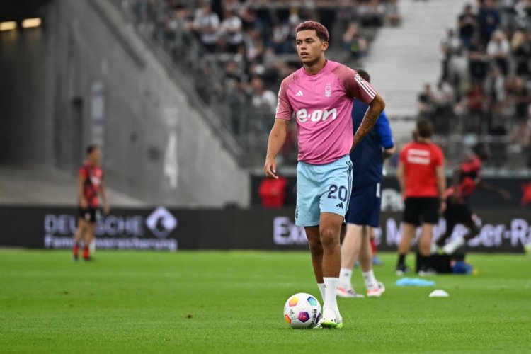 Tottenham Eyes £50m Premier League Star, Brennan Johnson, Possibly Offering Djed Spence or Bryan Gil in Trade